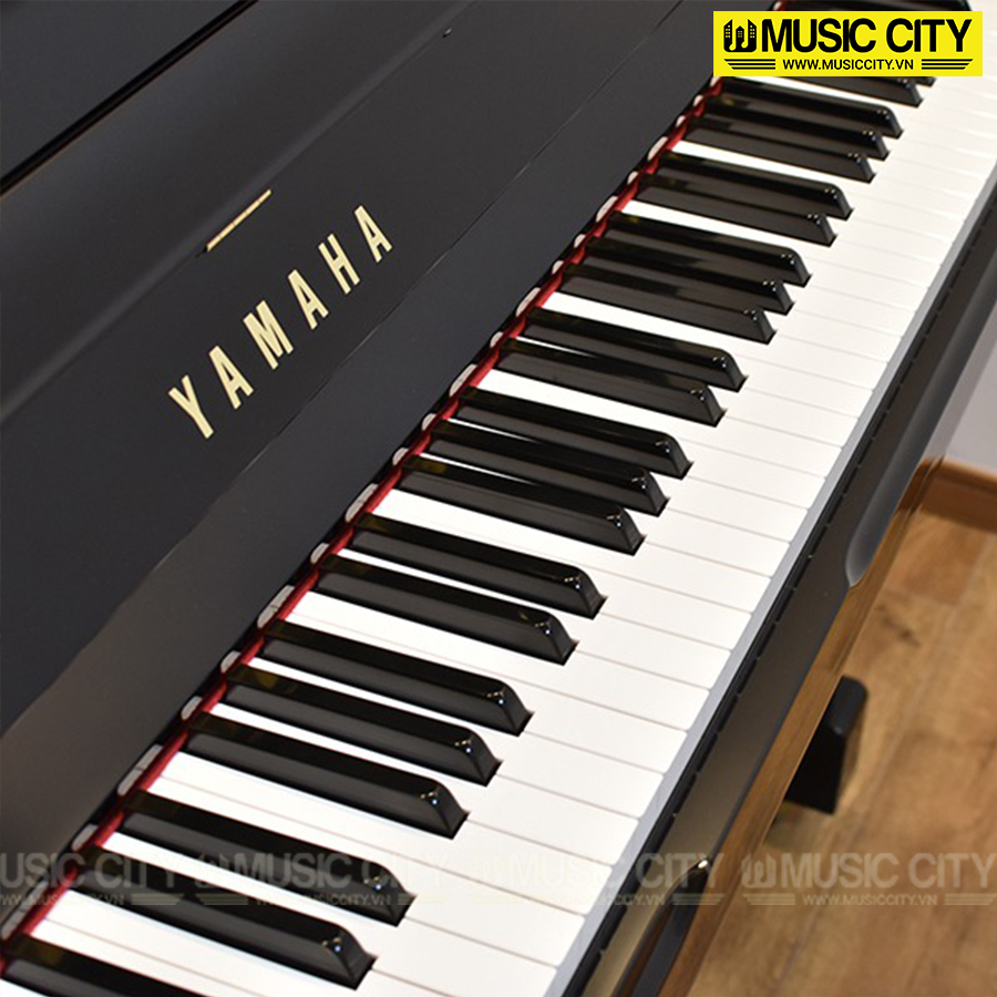 Music City – Tổng Kho Piano, Guitar, Organ | Dịch Vụ Giáo Dục Âm Nhạc