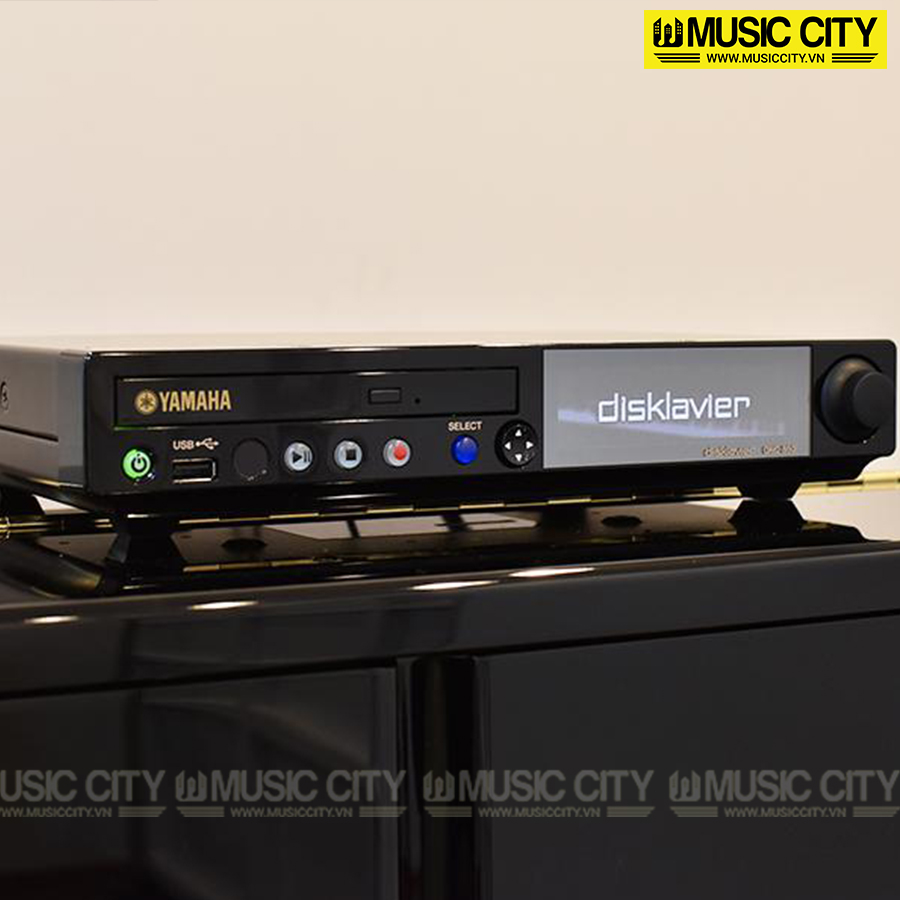 Music City – Tổng Kho Piano, Guitar, Organ | Dịch Vụ Giáo Dục Âm Nhạc