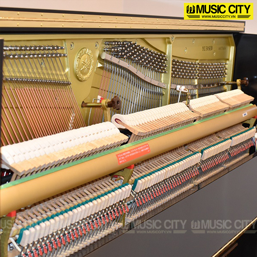 Music City – Tổng Kho Piano, Guitar, Organ | Dịch Vụ Giáo Dục Âm Nhạc