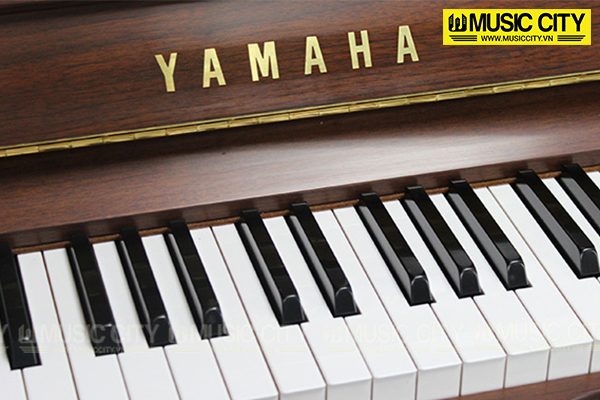 Music City – Tổng Kho Piano, Guitar, Organ | Dịch Vụ Giáo Dục Âm Nhạc