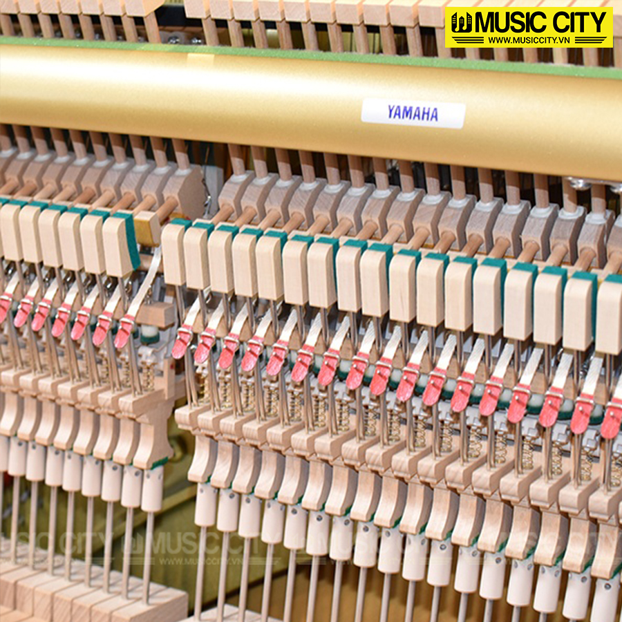 Music City – Tổng Kho Piano, Guitar, Organ | Dịch Vụ Giáo Dục Âm Nhạc