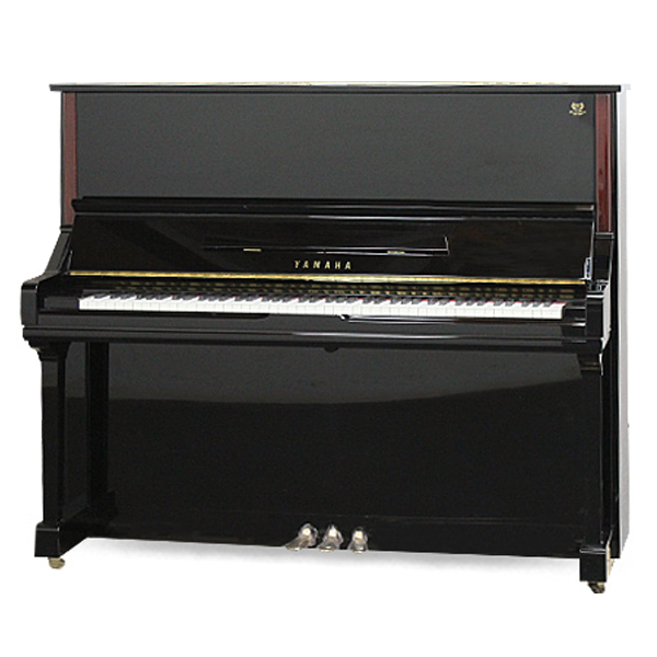 Music City – Tổng Kho Piano, Guitar, Organ | Dịch Vụ Giáo Dục Âm Nhạc