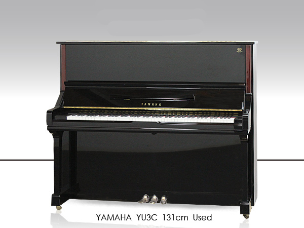 Music City – Tổng Kho Piano, Guitar, Organ | Dịch Vụ Giáo Dục Âm Nhạc