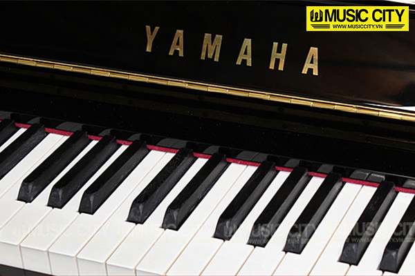 Music City – Tổng Kho Piano, Guitar, Organ | Dịch Vụ Giáo Dục Âm Nhạc