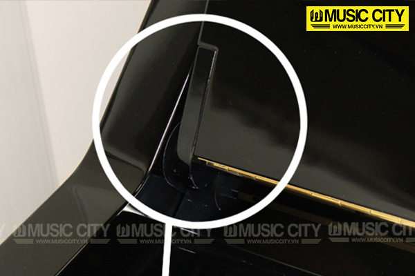 Music City – Tổng Kho Piano, Guitar, Organ | Dịch Vụ Giáo Dục Âm Nhạc