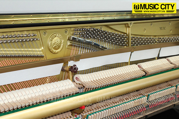 Music City – Tổng Kho Piano, Guitar, Organ | Dịch Vụ Giáo Dục Âm Nhạc