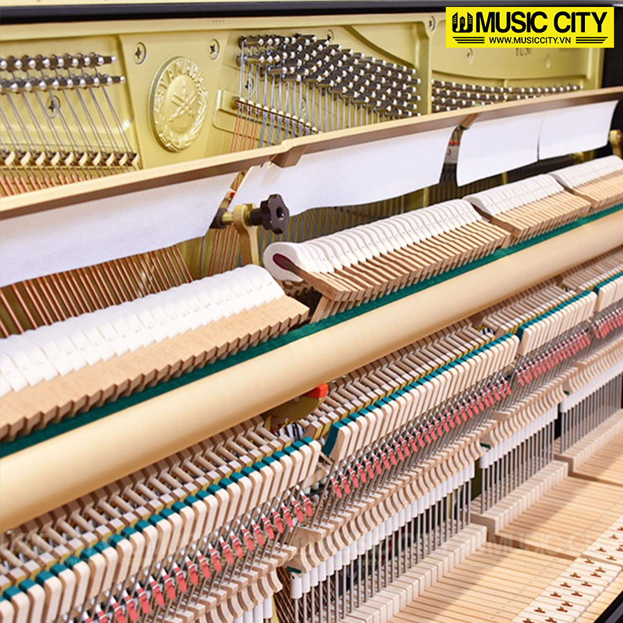 Music City – Tổng Kho Piano, Guitar, Organ | Dịch Vụ Giáo Dục Âm Nhạc