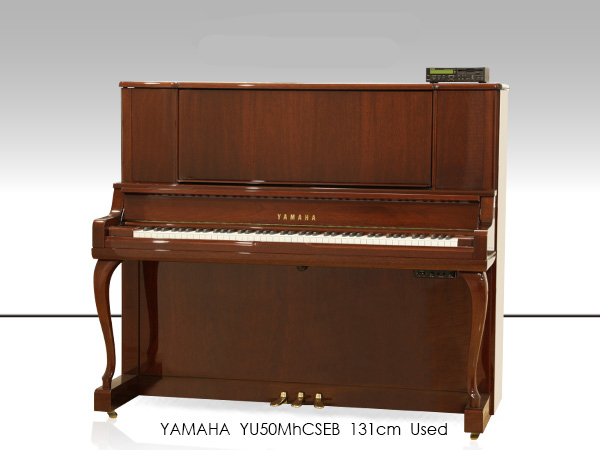 Music City – Tổng Kho Piano, Guitar, Organ | Dịch Vụ Giáo Dục Âm Nhạc