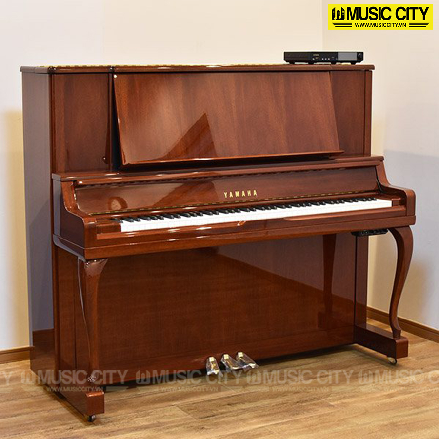 Music City – Tổng Kho Piano, Guitar, Organ | Dịch Vụ Giáo Dục Âm Nhạc