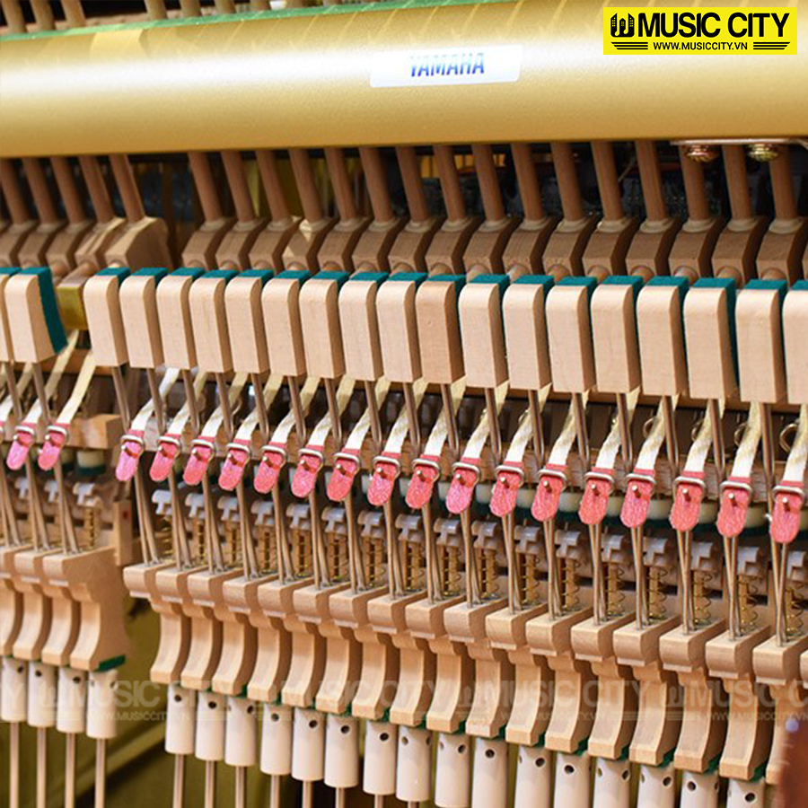 Music City – Tổng Kho Piano, Guitar, Organ | Dịch Vụ Giáo Dục Âm Nhạc