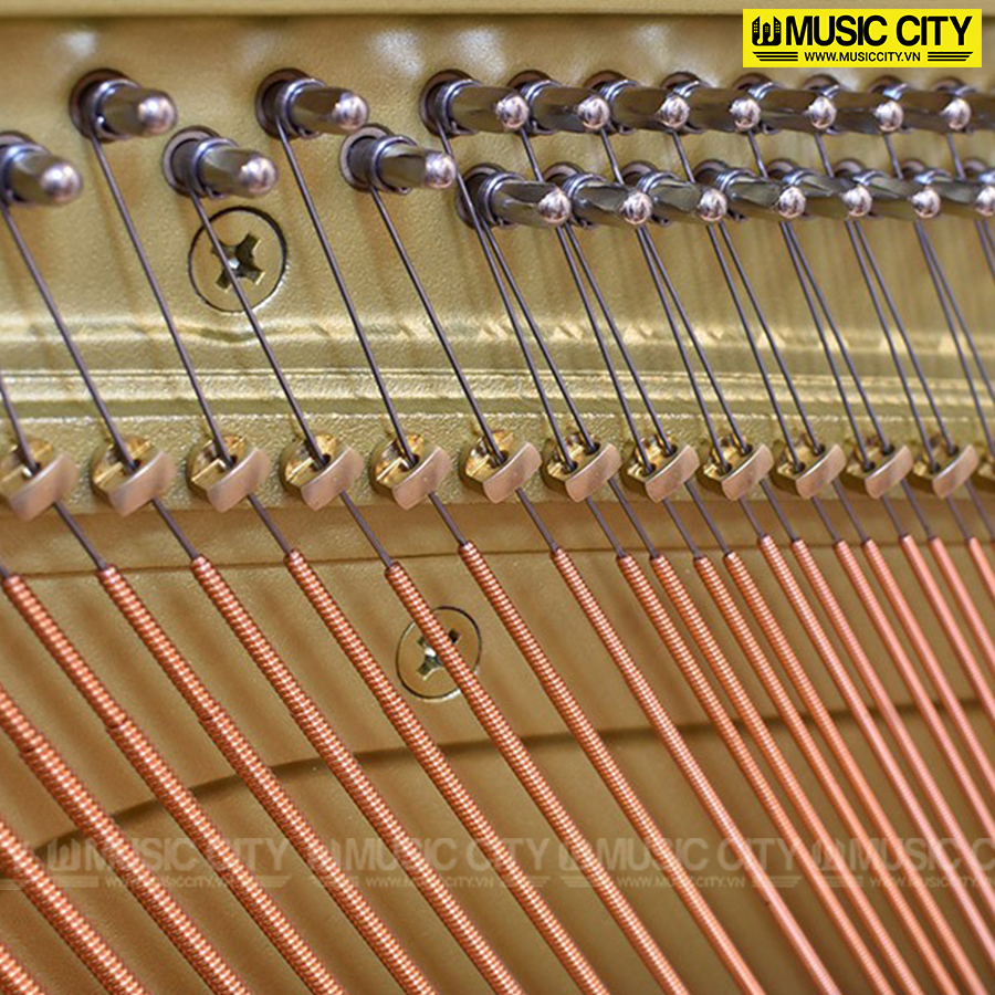 Music City – Tổng Kho Piano, Guitar, Organ | Dịch Vụ Giáo Dục Âm Nhạc