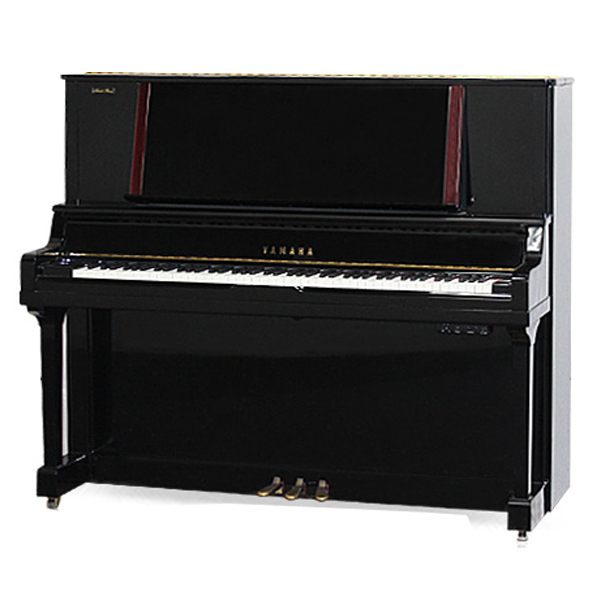 Music City – Tổng Kho Piano, Guitar, Organ | Dịch Vụ Giáo Dục Âm Nhạc