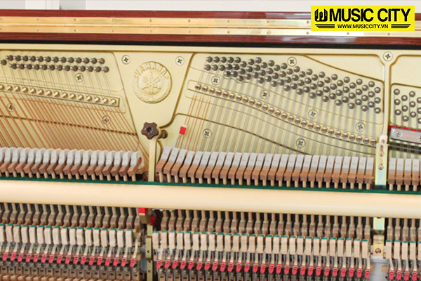 Music City – Tổng Kho Piano, Guitar, Organ | Dịch Vụ Giáo Dục Âm Nhạc