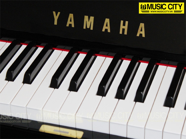 Music City – Tổng Kho Piano, Guitar, Organ | Dịch Vụ Giáo Dục Âm Nhạc