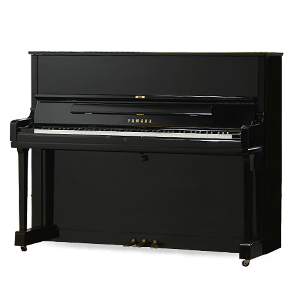 Music City – Tổng Kho Piano, Guitar, Organ | Dịch Vụ Giáo Dục Âm Nhạc