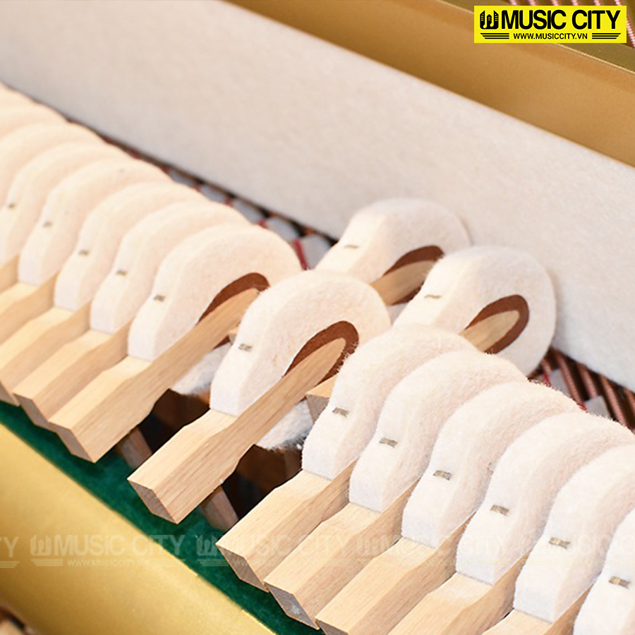Music City – Tổng Kho Piano, Guitar, Organ | Dịch Vụ Giáo Dục Âm Nhạc