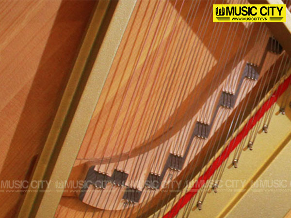 Music City – Tổng Kho Piano, Guitar, Organ | Dịch Vụ Giáo Dục Âm Nhạc