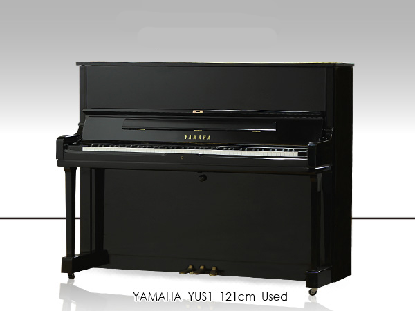 Music City – Tổng Kho Piano, Guitar, Organ | Dịch Vụ Giáo Dục Âm Nhạc
