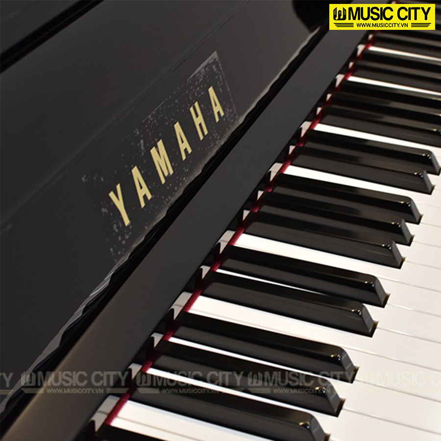 Music City – Tổng Kho Piano, Guitar, Organ | Dịch Vụ Giáo Dục Âm Nhạc