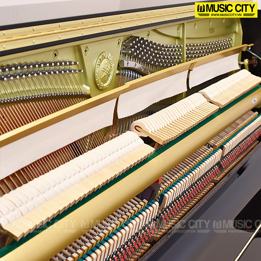 Music City – Tổng Kho Piano, Guitar, Organ | Dịch Vụ Giáo Dục Âm Nhạc