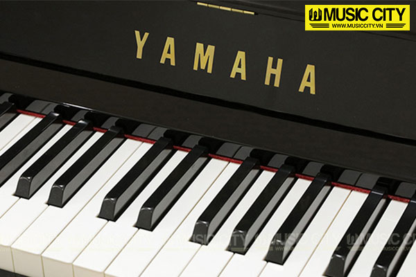 Music City – Tổng Kho Piano, Guitar, Organ | Dịch Vụ Giáo Dục Âm Nhạc
