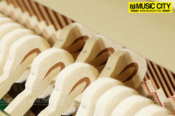 Music City – Tổng Kho Piano, Guitar, Organ | Dịch Vụ Giáo Dục Âm Nhạc