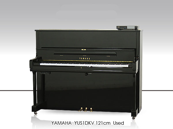 Music City – Tổng Kho Piano, Guitar, Organ | Dịch Vụ Giáo Dục Âm Nhạc