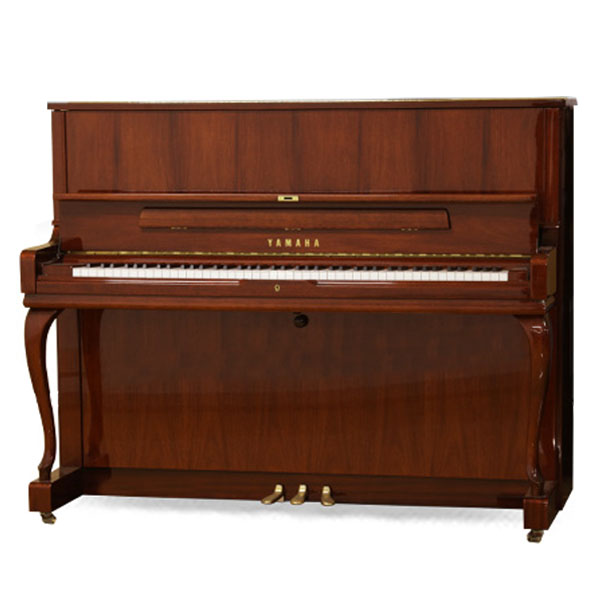 Music City – Tổng Kho Piano, Guitar, Organ | Dịch Vụ Giáo Dục Âm Nhạc