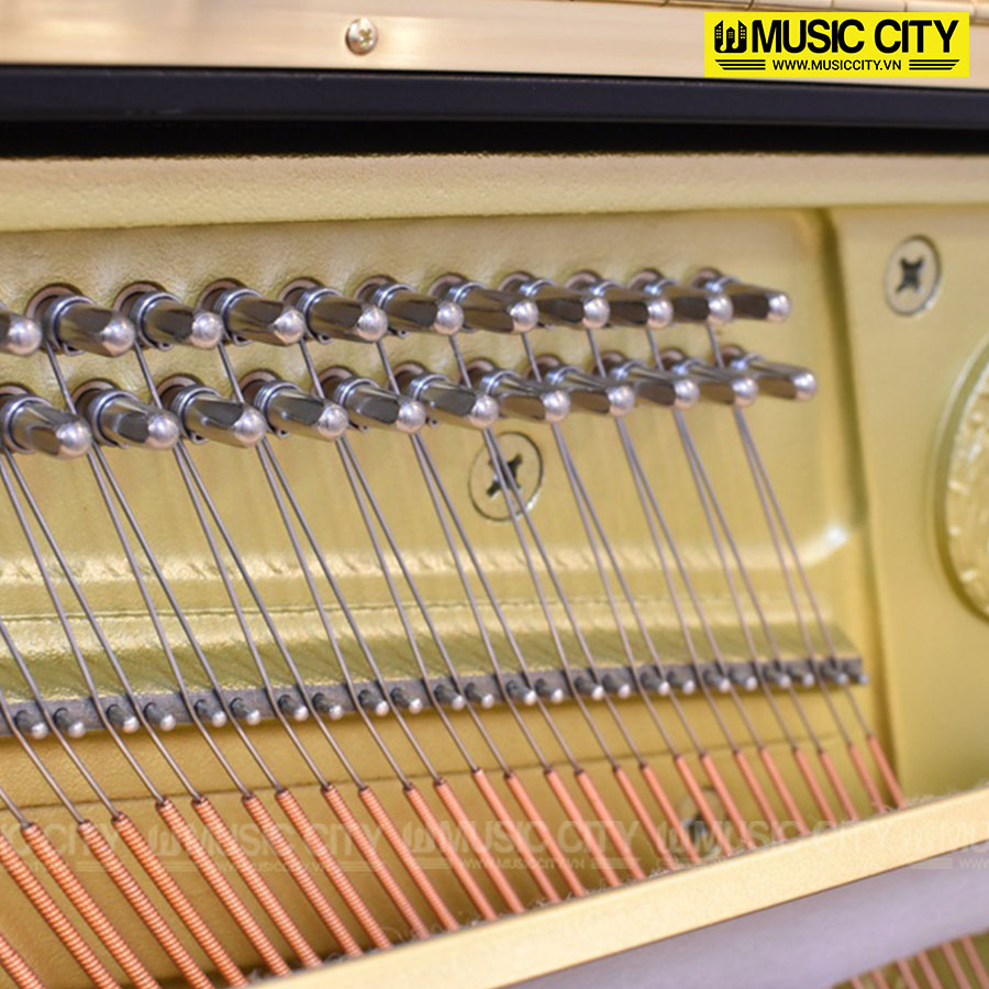 Music City – Tổng Kho Piano, Guitar, Organ | Dịch Vụ Giáo Dục Âm Nhạc