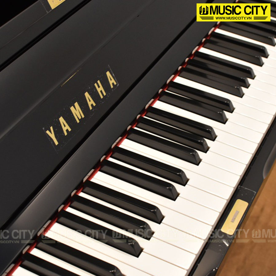 Music City – Tổng Kho Piano, Guitar, Organ | Dịch Vụ Giáo Dục Âm Nhạc
