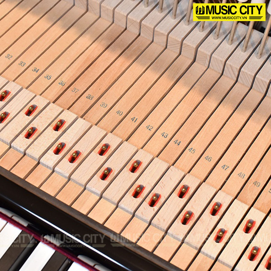 Music City – Tổng Kho Piano, Guitar, Organ | Dịch Vụ Giáo Dục Âm Nhạc