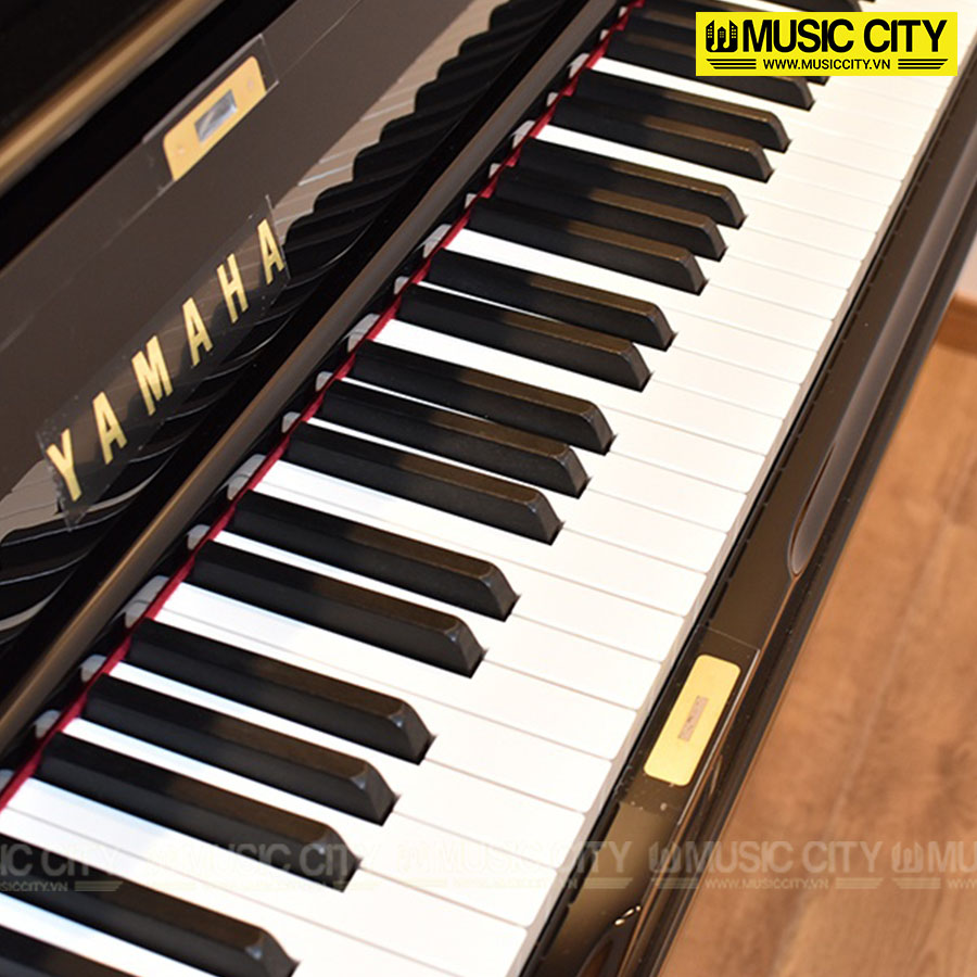 Music City – Tổng Kho Piano, Guitar, Organ | Dịch Vụ Giáo Dục Âm Nhạc