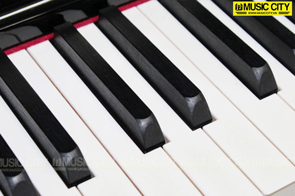 Music City – Tổng Kho Piano, Guitar, Organ | Dịch Vụ Giáo Dục Âm Nhạc