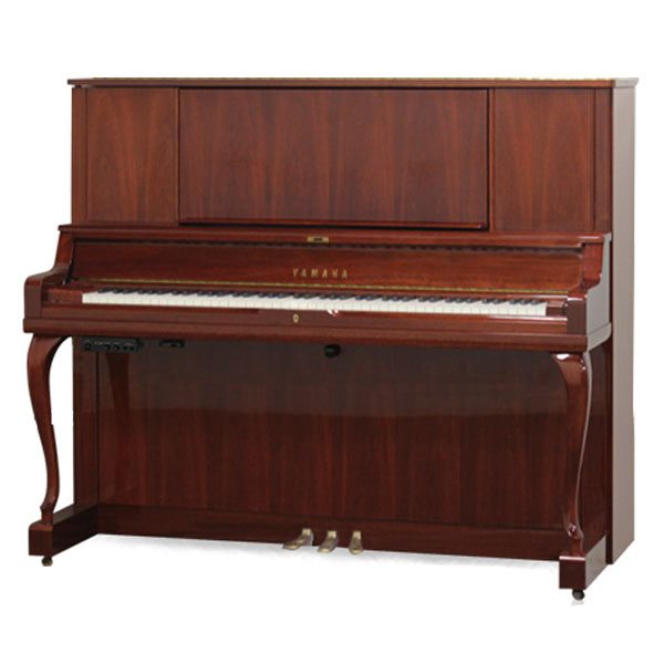 Music City – Tổng Kho Piano, Guitar, Organ | Dịch Vụ Giáo Dục Âm Nhạc