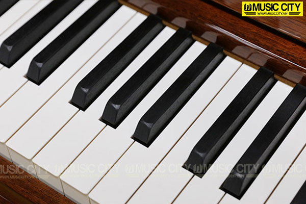 Music City – Tổng Kho Piano, Guitar, Organ | Dịch Vụ Giáo Dục Âm Nhạc