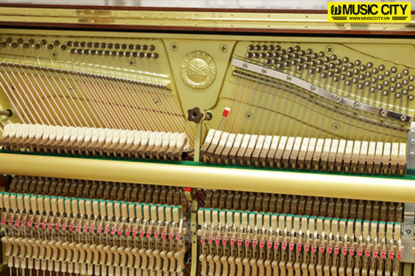 Music City – Tổng Kho Piano, Guitar, Organ | Dịch Vụ Giáo Dục Âm Nhạc