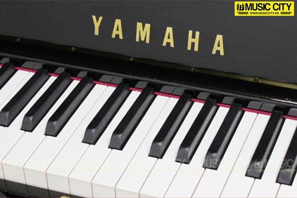 Music City – Tổng Kho Piano, Guitar, Organ | Dịch Vụ Giáo Dục Âm Nhạc