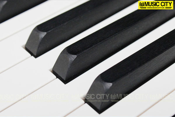 Music City – Tổng Kho Piano, Guitar, Organ | Dịch Vụ Giáo Dục Âm Nhạc