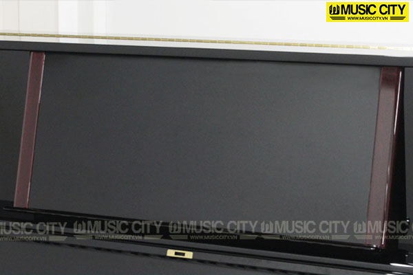Music City – Tổng Kho Piano, Guitar, Organ | Dịch Vụ Giáo Dục Âm Nhạc