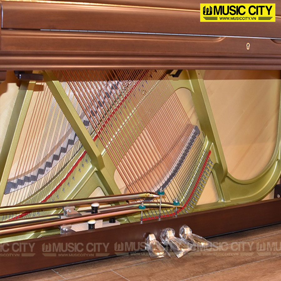 Music City – Tổng Kho Piano, Guitar, Organ | Dịch Vụ Giáo Dục Âm Nhạc