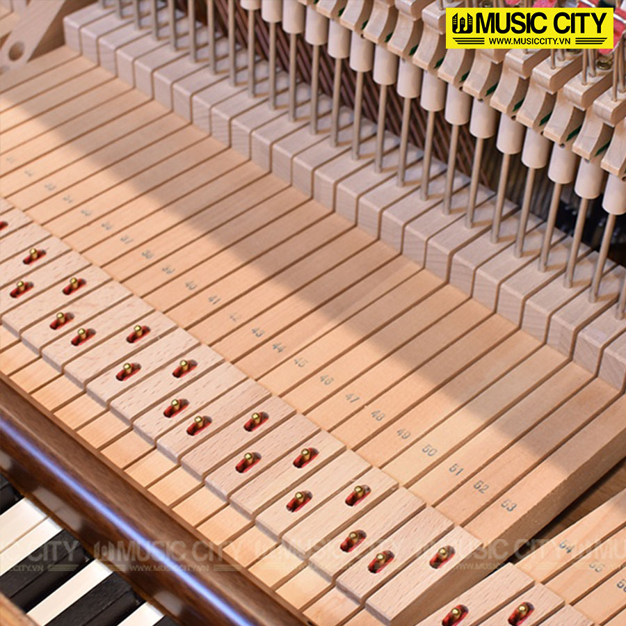 Music City – Tổng Kho Piano, Guitar, Organ | Dịch Vụ Giáo Dục Âm Nhạc