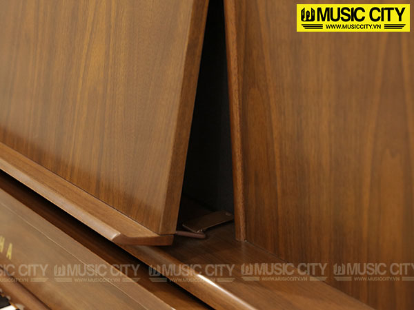 Music City – Tổng Kho Piano, Guitar, Organ | Dịch Vụ Giáo Dục Âm Nhạc