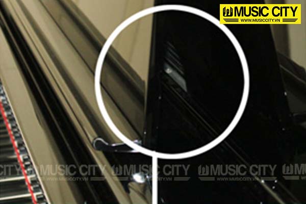 Music City – Tổng Kho Piano, Guitar, Organ | Dịch Vụ Giáo Dục Âm Nhạc