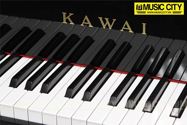 Music City – Tổng Kho Piano, Guitar, Organ | Dịch Vụ Giáo Dục Âm Nhạc