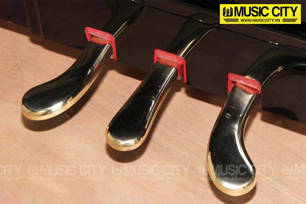 Music City – Tổng Kho Piano, Guitar, Organ | Dịch Vụ Giáo Dục Âm Nhạc