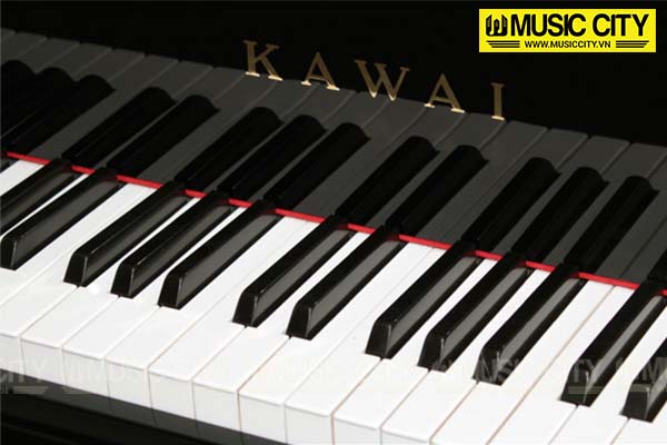 Music City – Tổng Kho Piano, Guitar, Organ | Dịch Vụ Giáo Dục Âm Nhạc