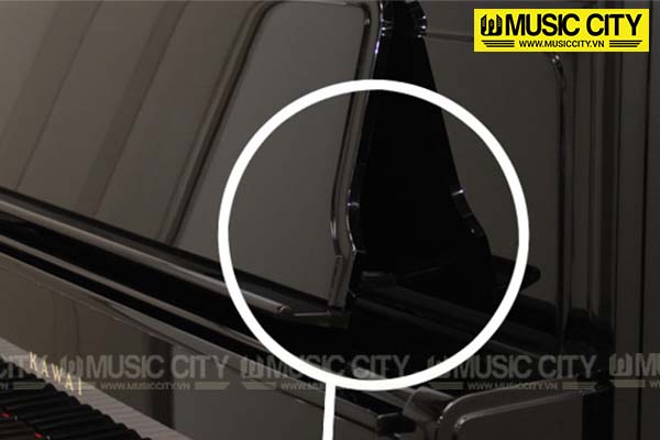 Music City – Tổng Kho Piano, Guitar, Organ | Dịch Vụ Giáo Dục Âm Nhạc