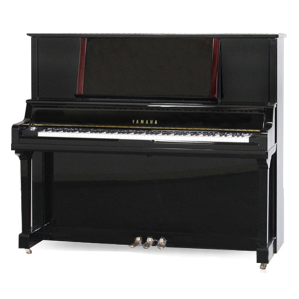 Music City – Tổng Kho Piano, Guitar, Organ | Dịch Vụ Giáo Dục Âm Nhạc