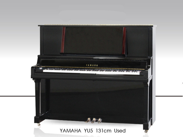 Music City – Tổng Kho Piano, Guitar, Organ | Dịch Vụ Giáo Dục Âm Nhạc