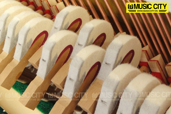Music City – Tổng Kho Piano, Guitar, Organ | Dịch Vụ Giáo Dục Âm Nhạc